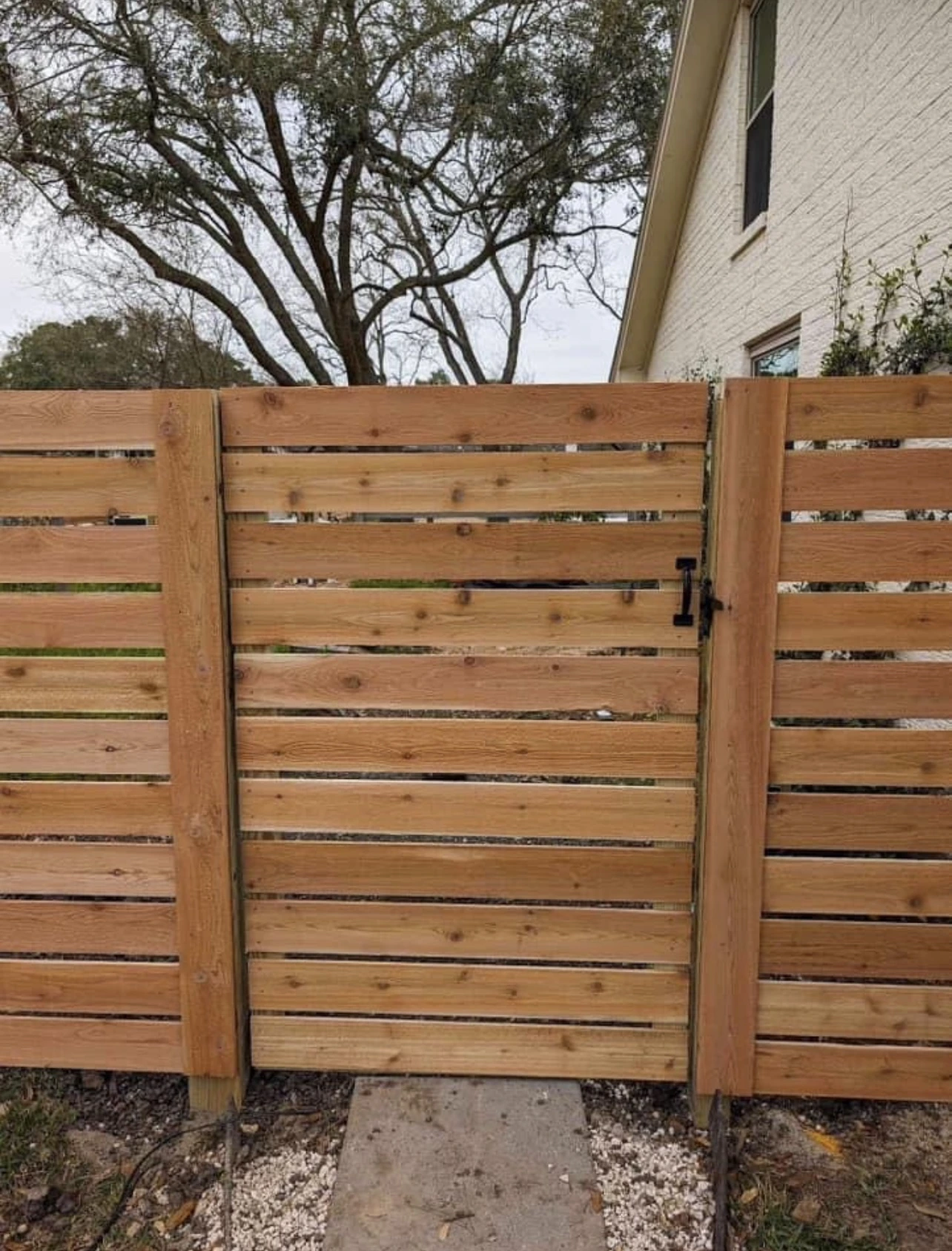 Curving boardwalk around riverside trees