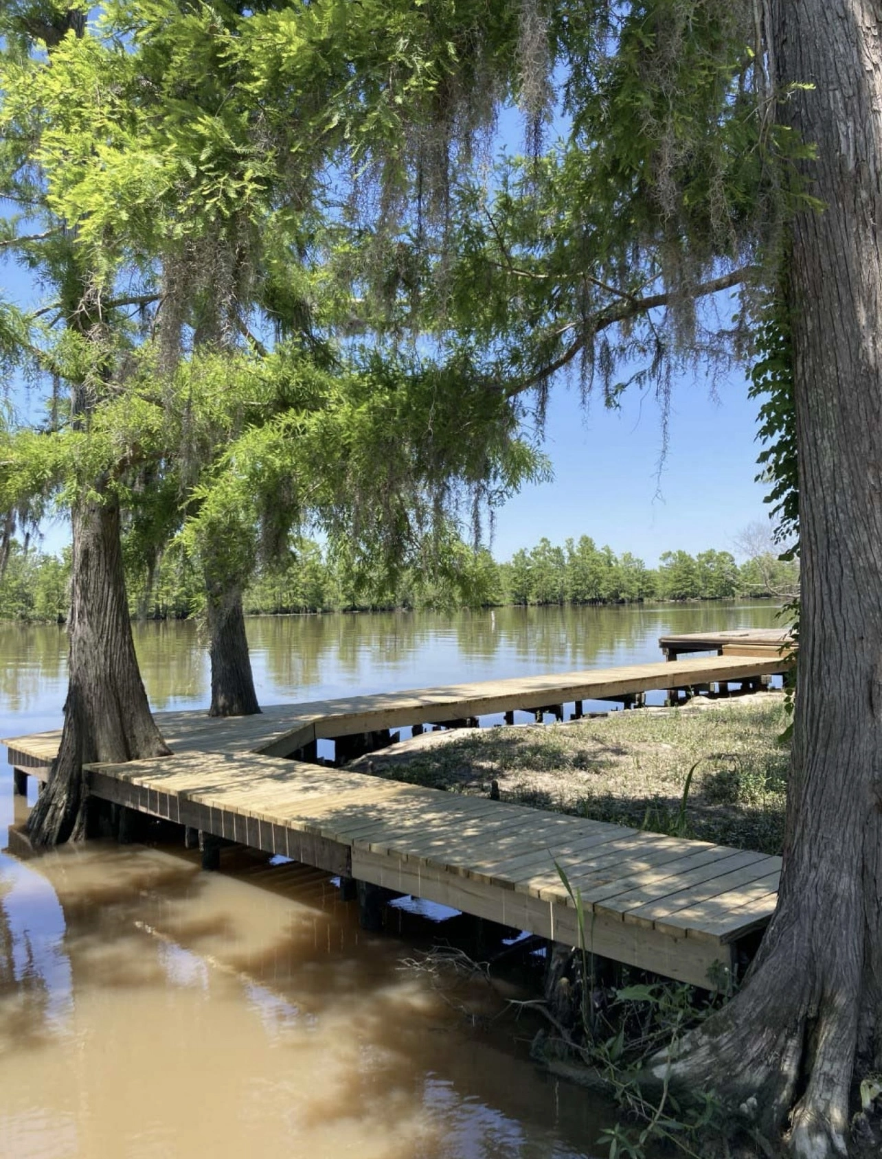 Floating dock with swim ladder and modular floats